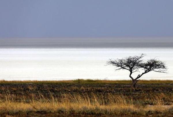 世界十大盐沼排行榜：乌尤尼盐沼被称为天空之境