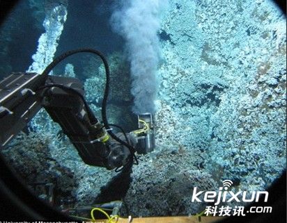 神奇的深海生物（甲烷菌构成的生态系统）