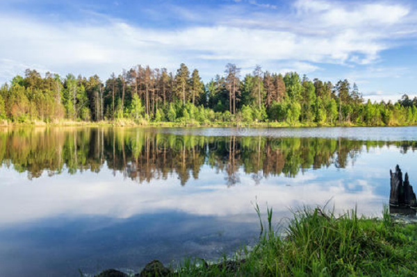 世界五大最长内流河排名：俄罗斯伏尔加河有超过200条支流