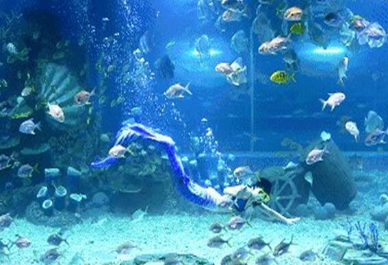 上海十大动植物园排行榜 上海最好玩的动植物园排名
