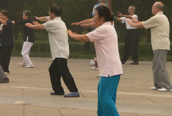 中国最厉害的十大武术排名：咏春拳叶问师从李小龙