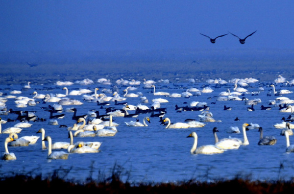 中国五大淡水湖排行榜：鄱阳湖为我国最大淡水湖