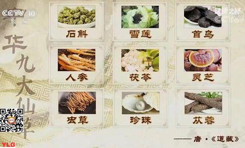 中国十大仙草排名及功效概述最全让你了解天然草本保健灵魂