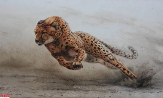 陆地极速揭秘世界上奔跑速度最快的动物