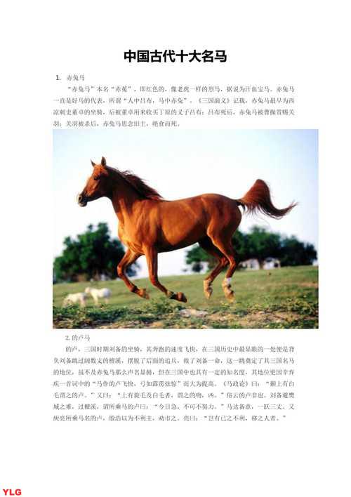 中国古代最有名的马排名探寻历史上最优秀的千里马