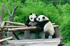 中国十大最美自然保护区在哪里 盘点中国十大最美自然保护区排名