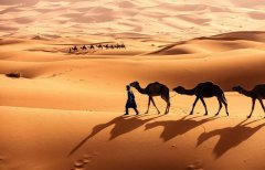 世界上最大的沙漠叫什么名字 盘点世界上最大的沙漠介绍